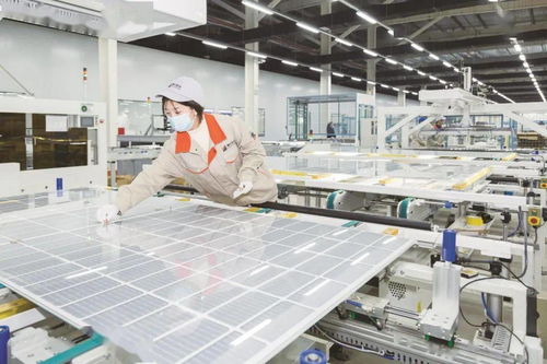 乘两会东风 以营商沃土育新能之苗